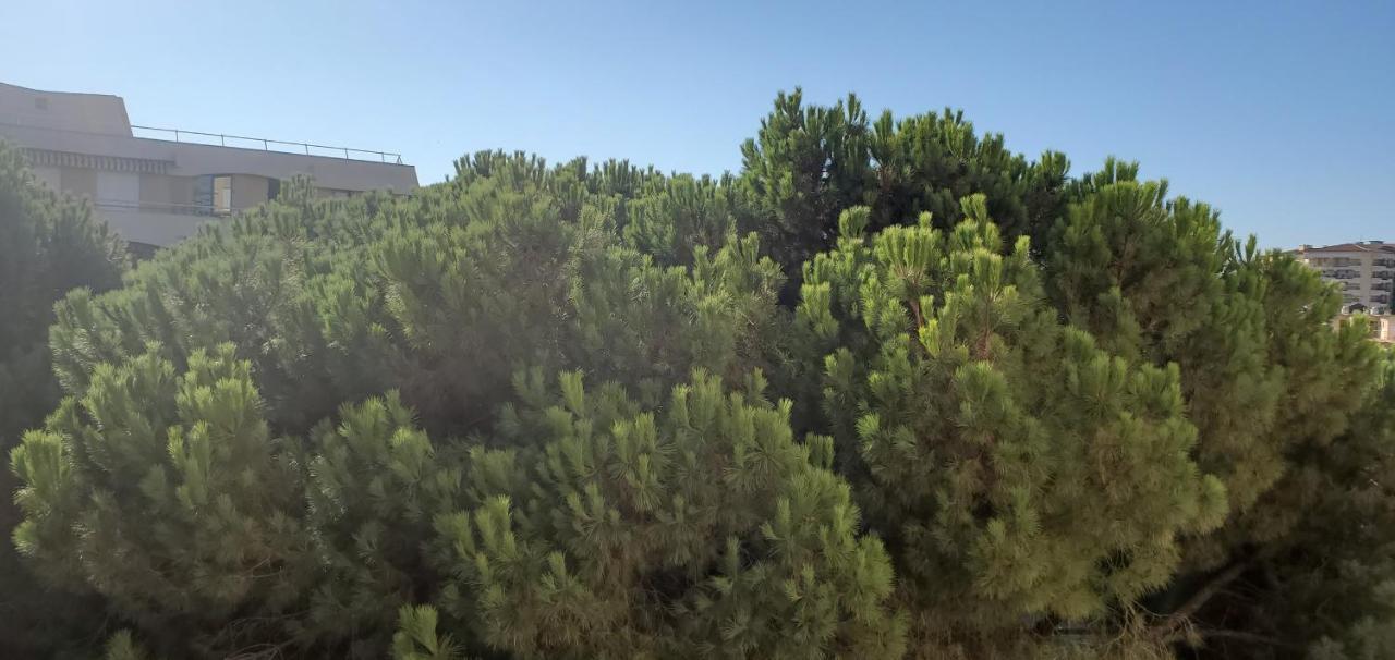 Frejus Plage La Miougrano, T2-3 49M2, 5 Personn Εξωτερικό φωτογραφία